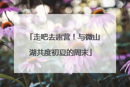 走吧去露营！与微山湖共度初夏的周末