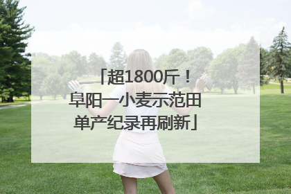 超1800斤！阜阳一小麦示范田单产纪录再刷新