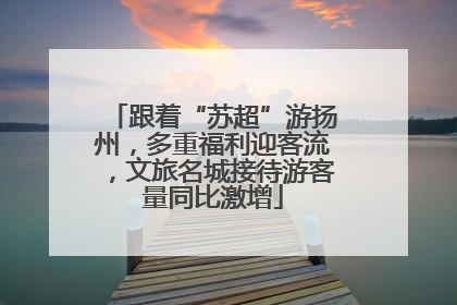 跟着“苏超”游扬州，多重福利迎客流，文旅名城接待游客量同比激增