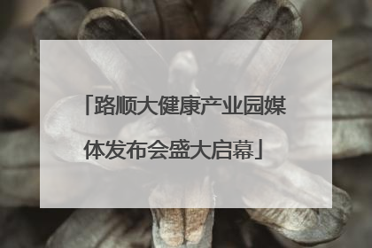 路顺大健康产业园媒体发布会盛大启幕