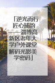 逆光而行 匠心捕韵——淄博高新区老年大学户外课堂解码光影美学密码