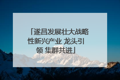 遂昌发展壮大战略性新兴产业 龙头引领 集群共进