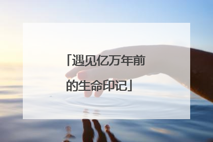 遇见亿万年前的生命印记