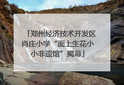 郑州经济技术开发区肖庄小学“面上生花小小非遗馆”揭幕