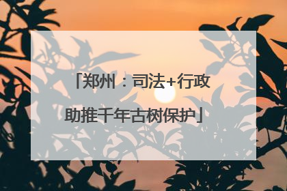 郑州：司法+行政助推千年古树保护