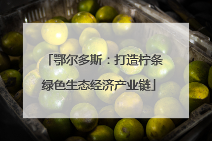 鄂尔多斯：打造柠条绿色生态经济产业链