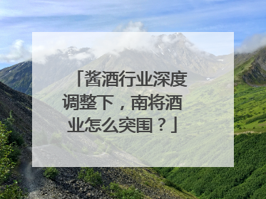 酱酒行业深度调整下，南将酒业怎么突围？