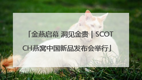 金燕启幕 洞见金贵｜SCOTCH燕窝中国新品发布会举行