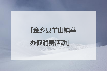 金乡县羊山镇举办促消费活动