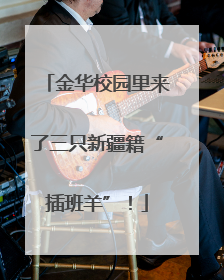 金华校园里来了三只新疆籍“插班羊”！