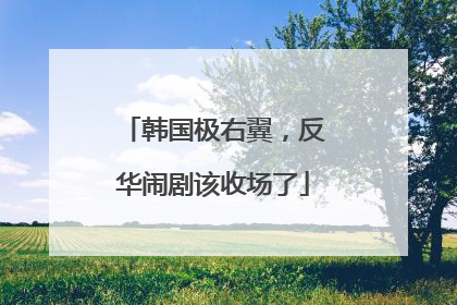 韩国极右翼，反华闹剧该收场了