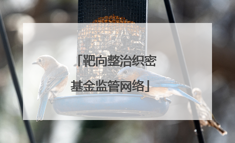 靶向整治织密基金监管网络
