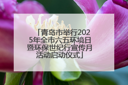 青岛市举行2025年全市六五环境日暨环保世纪行宣传月活动启动仪式