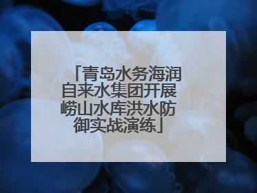 青岛水务海润自来水集团开展崂山水库洪水防御实战演练