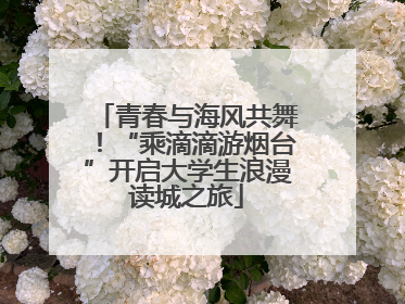 青春与海风共舞！“乘滴滴游烟台”开启大学生浪漫读城之旅