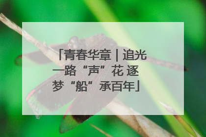青春华章｜追光一路“声”花 逐梦“船”承百年