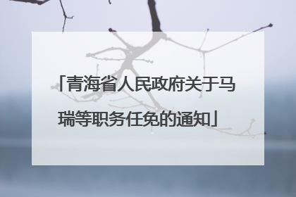 青海省人民政府关于马瑞等职务任免的通知