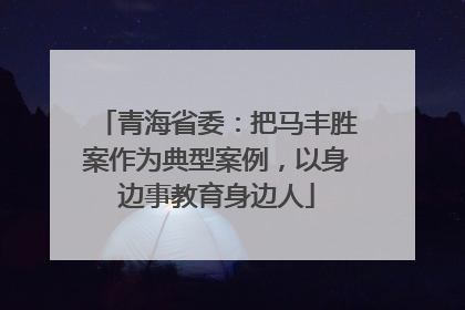 青海省委：把马丰胜案作为典型案例，以身边事教育身边人