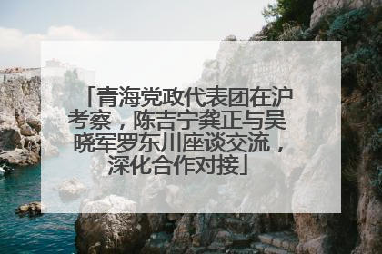 青海党政代表团在沪考察，陈吉宁龚正与吴晓军罗东川座谈交流，深化合作对接