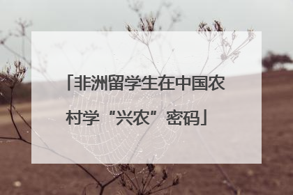 非洲留学生在中国农村学“兴农”密码