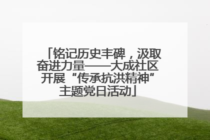 铭记历史丰碑，汲取奋进力量——大成社区开展“传承抗洪精神”主题党日活动