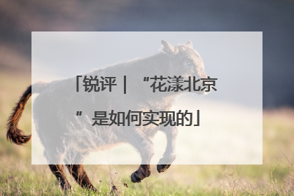 锐评｜“花漾北京”是如何实现的