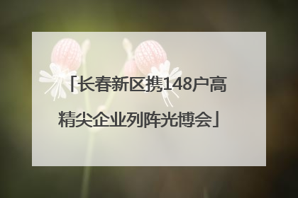 长春新区携148户高精尖企业列阵光博会
