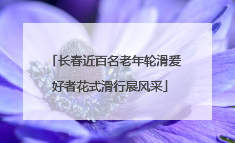 长春近百名老年轮滑爱好者花式滑行展风采