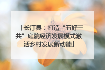 长汀县:打造“五好三共”庭院经济发展模式激活乡村发展新动能