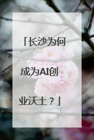 长沙为何成为AI创业沃土？