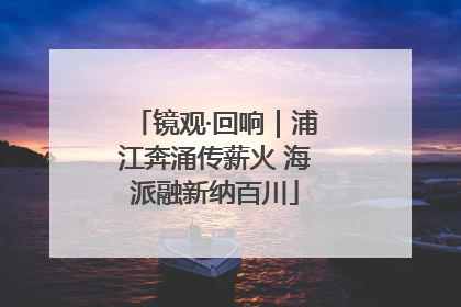 镜观·回响｜浦江奔涌传薪火 海派融新纳百川