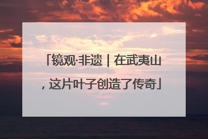 镜观·非遗｜在武夷山，这片叶子创造了传奇