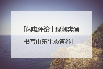闪电评论丨绿潮奔涌 书写山东生态答卷