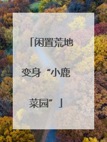 闲置荒地变身“小鹿菜园”