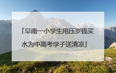 阜南一小学生用压岁钱买水为中高考学子送清凉