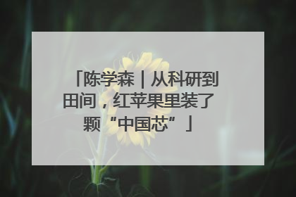 陈学森｜从科研到田间，红苹果里装了颗“中国芯”