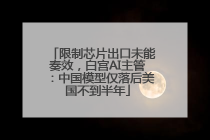 限制芯片出口未能奏效，白宫AI主管：中国模型仅落后美国不到半年