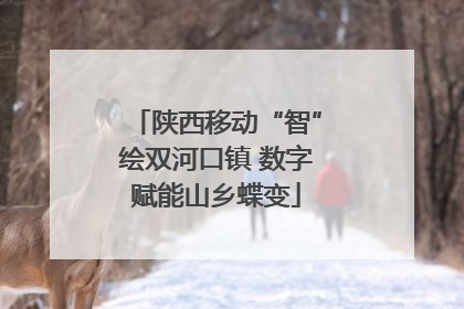 陕西移动“智”绘双河口镇 数字赋能山乡蝶变