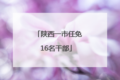 陕西一市任免16名干部