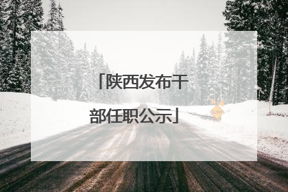 陕西发布干部任职公示
