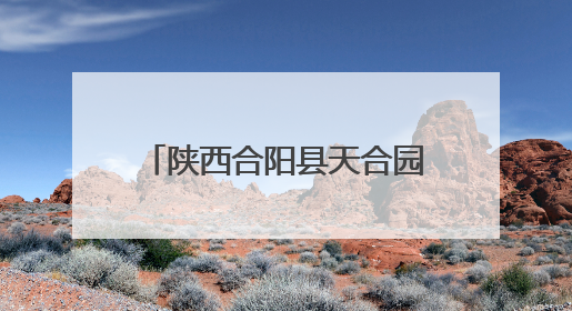 陕西合阳县天合园小学：牢记党的教导 争做强国少年