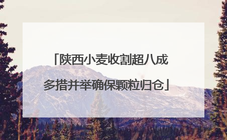 陕西小麦收割超八成 多措并举确保颗粒归仓