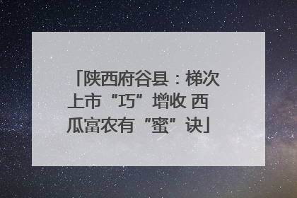 陕西府谷县：梯次上市“巧”增收 西瓜富农有“蜜”诀