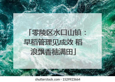 零陵区水口山镇：早稻管理见成效 稻浪飘香穗满田