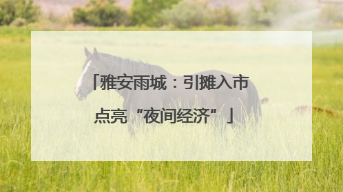 雅安雨城：引摊入市 点亮“夜间经济”