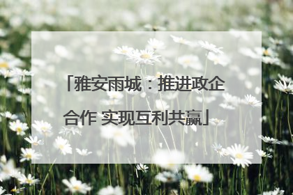 雅安雨城：推进政企合作 实现互利共赢