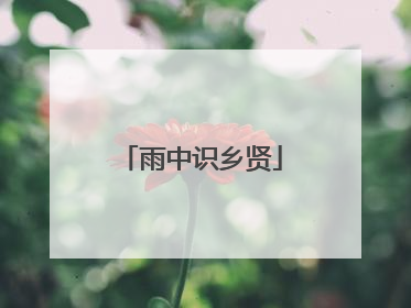 雨中识乡贤
