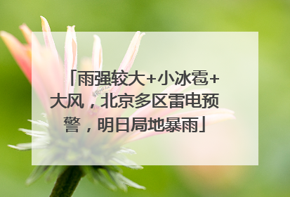 雨强较大+小冰雹+大风，北京多区雷电预警，明日局地暴雨