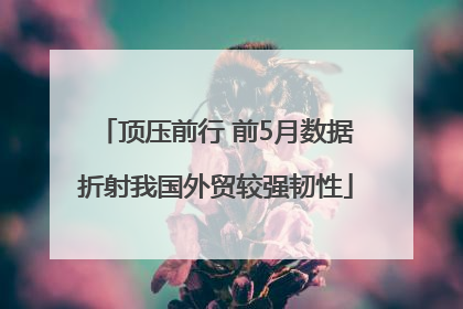 顶压前行 前5月数据折射我国外贸较强韧性