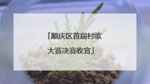 顺庆区首届村歌大赛决赛收官